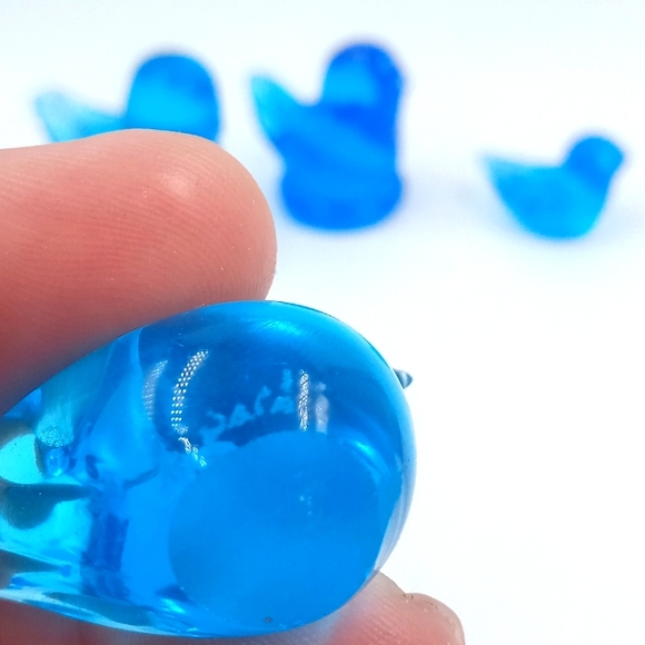 Bluebird of happiness family - Picture 2 of 5